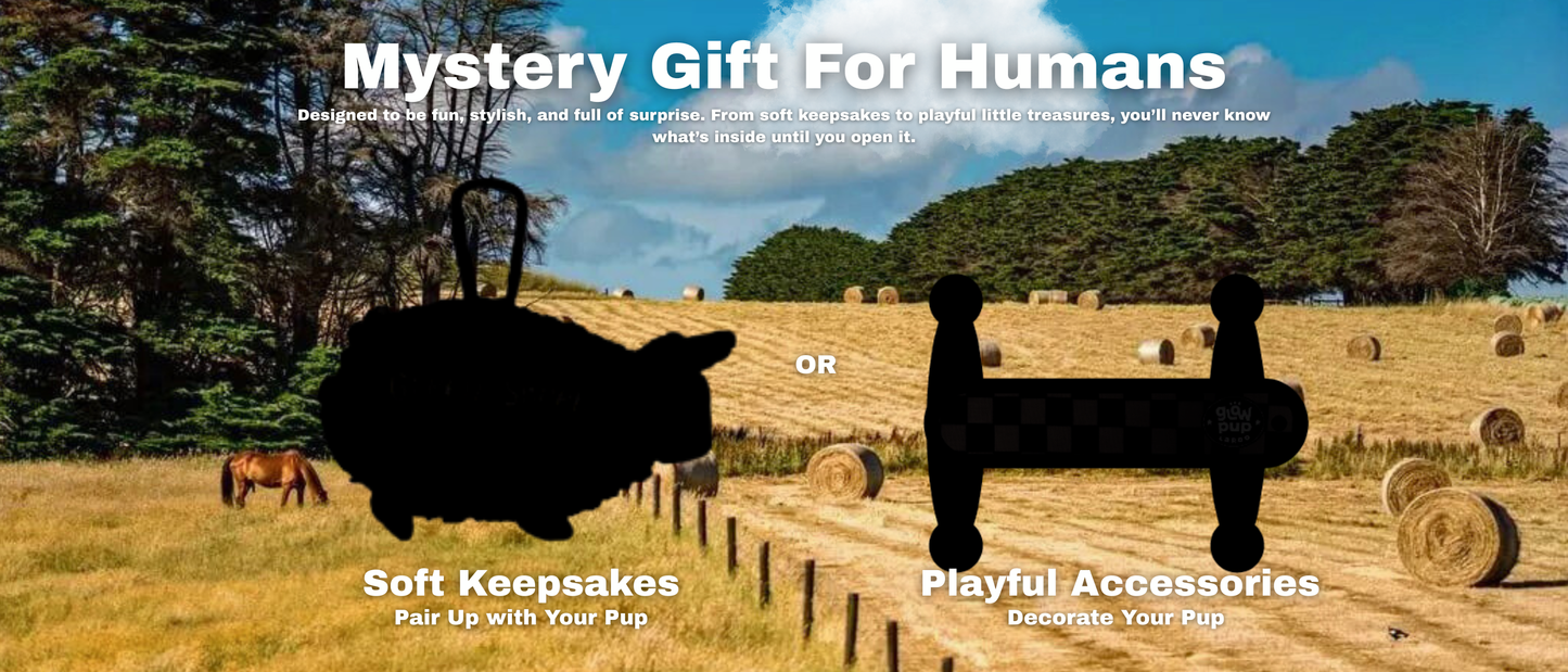 Funny Bunny & Chilly Gator