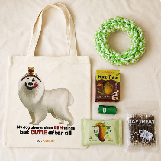 Weekend Walk Tote