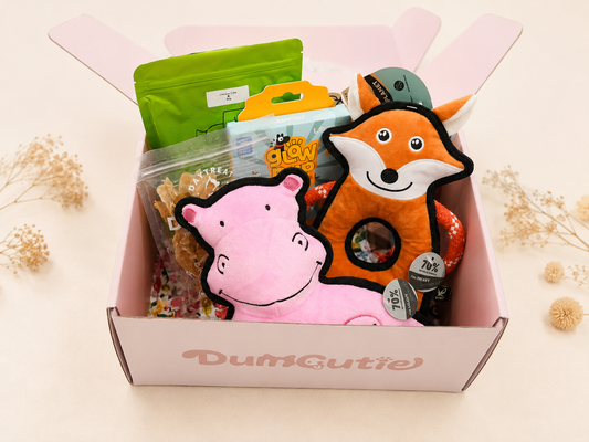 Cute Party Box