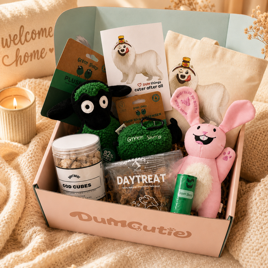 Welcome Home Box