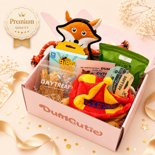 Cute Party Box