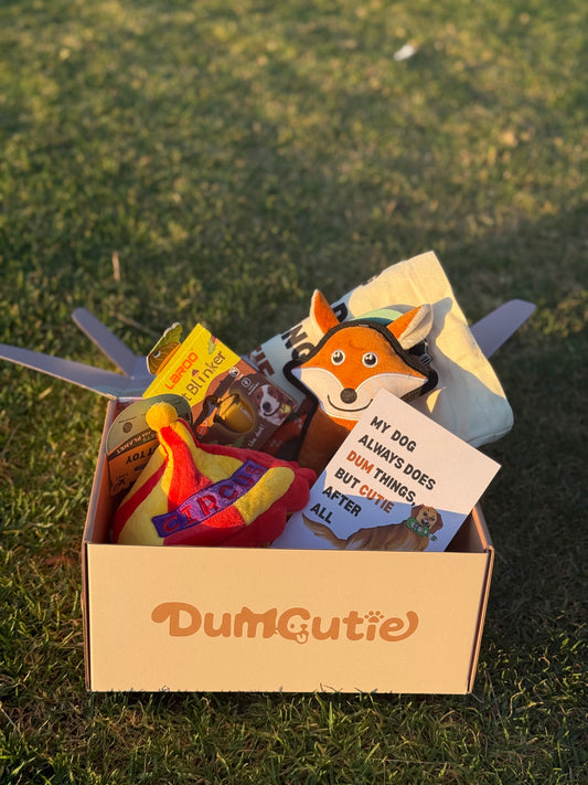 DumCutie Christmas Box (Limited Edition)