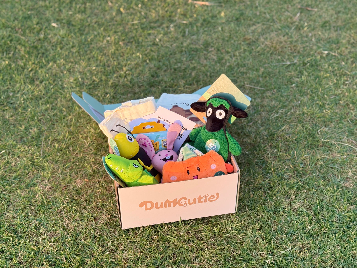 Funny Bunny & Chilly Gator