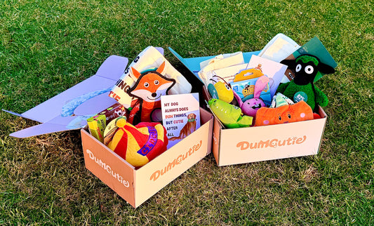 DumCutie Surprise Box