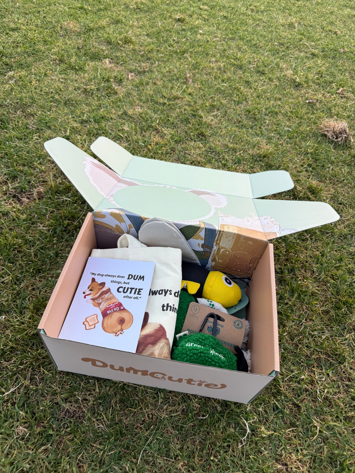 Silly Sheep & Busy Bee