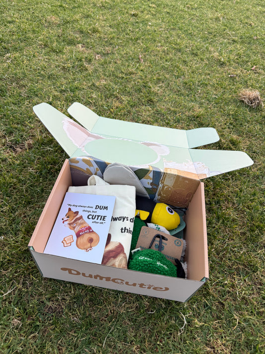 Silly Sheep & Busy Bee