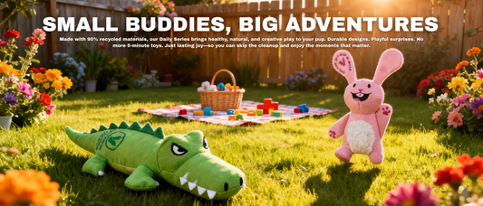 Funny Bunny & Chilly Gator