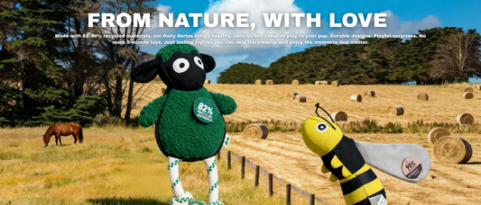 Silly Sheep & Busy Bee