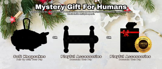 Christmas Series – Festive Friends